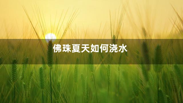 佛珠夏天如何浇水