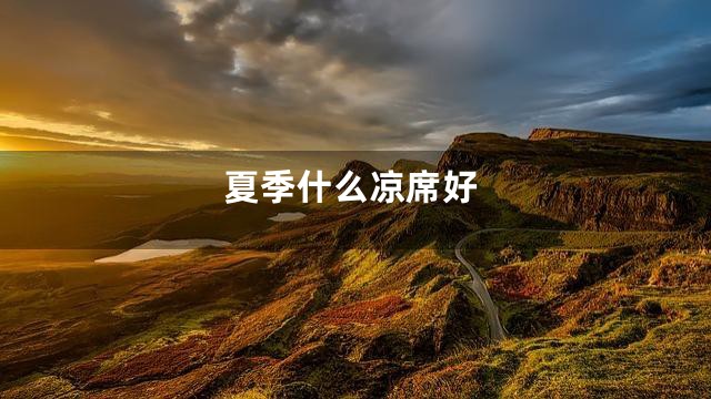 夏季什么凉席好