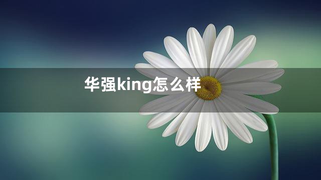 华强king怎么样