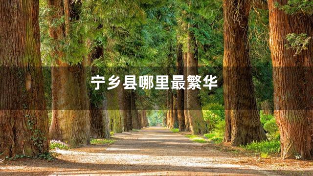 宁乡县哪里最繁华