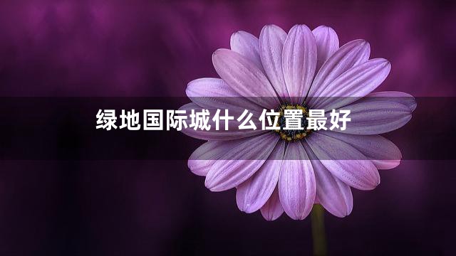 绿地国际城什么位置最好