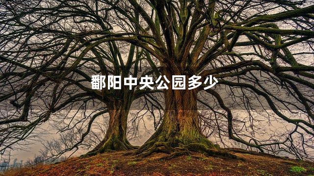 鄱阳中央公园多少