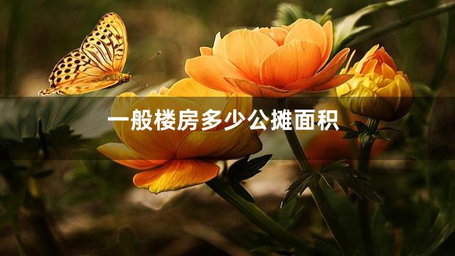 一般楼房多少公摊面积