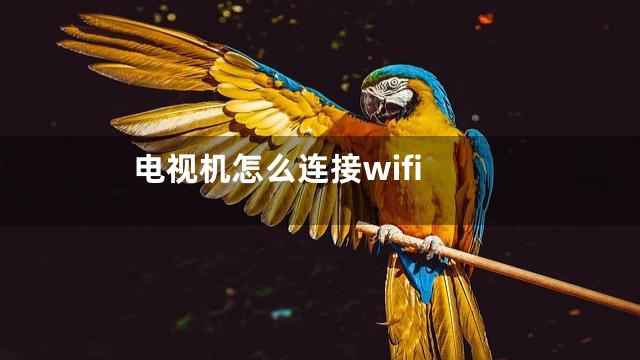 电视机怎么连接wifi