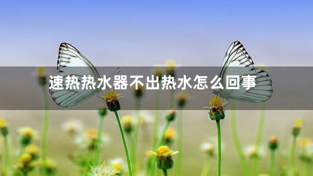 速热热水器不出热水怎么回事