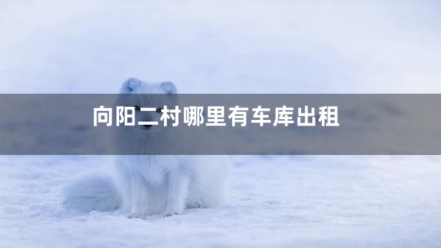 向阳二村哪里有车库出租