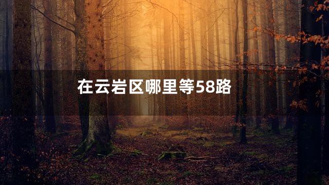 在云岩区哪里等58路