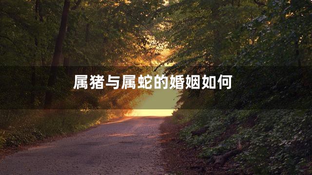 属猪与属蛇的婚姻如何