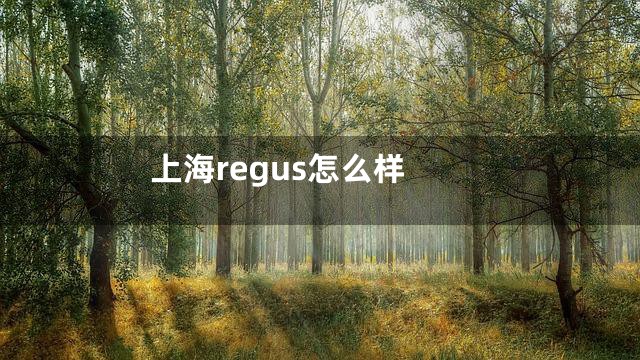 上海regus怎么样