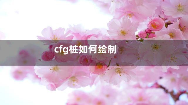 cfg桩如何绘制