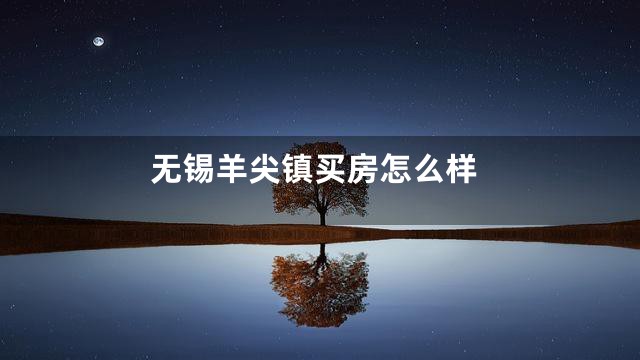 无锡羊尖镇买房怎么样