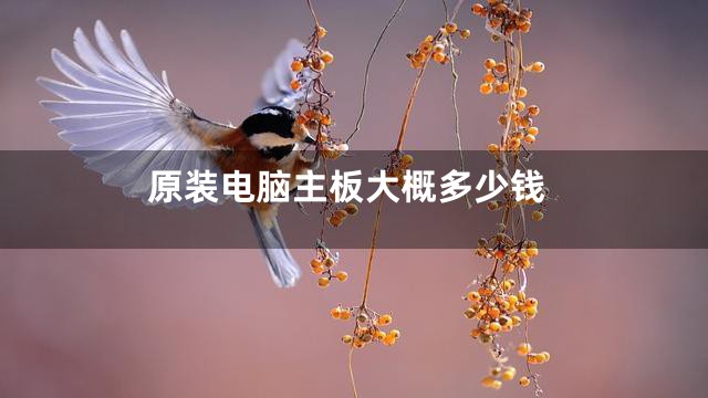 原装电脑主板大概多少钱
