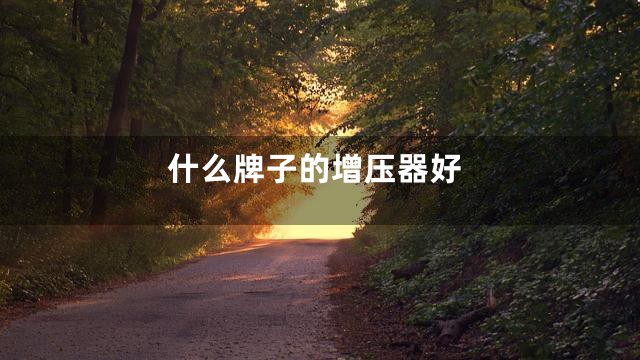 什么牌子的增压器好