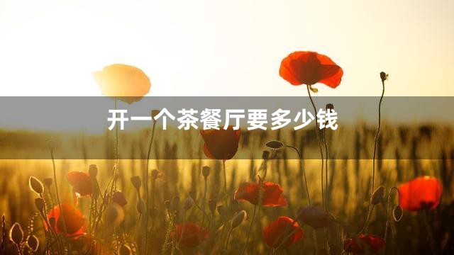 开一个茶餐厅要多少钱