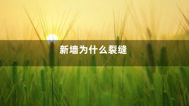 新墙为什么裂缝