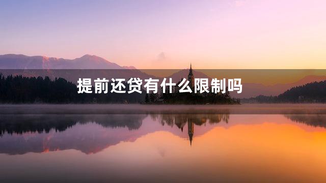 提前还贷有什么限制吗
