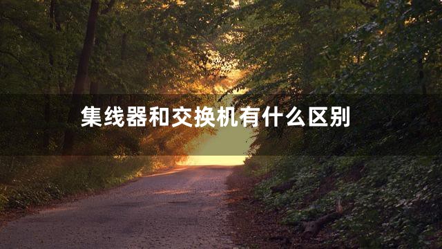 集线器和交换机有什么区别