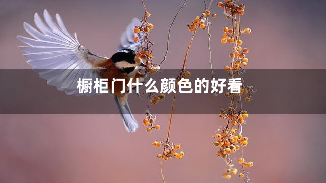 橱柜门什么颜色的好看