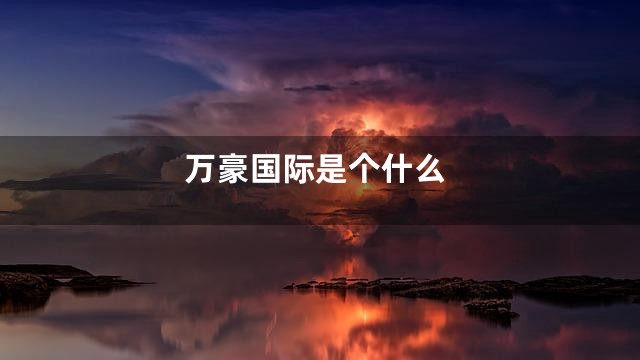 万豪国际是个什么