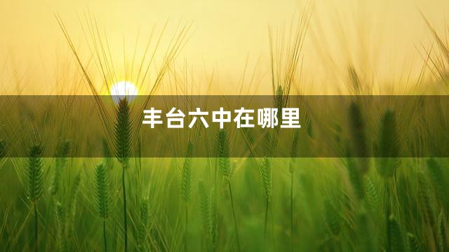 丰台六中在哪里