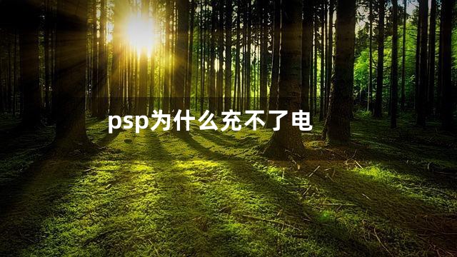 psp为什么充不了电