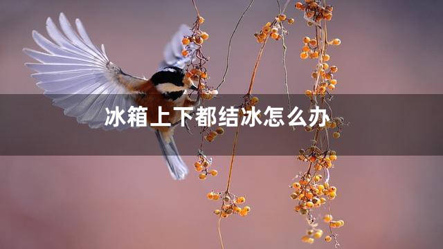 冰箱上下都结冰怎么办
