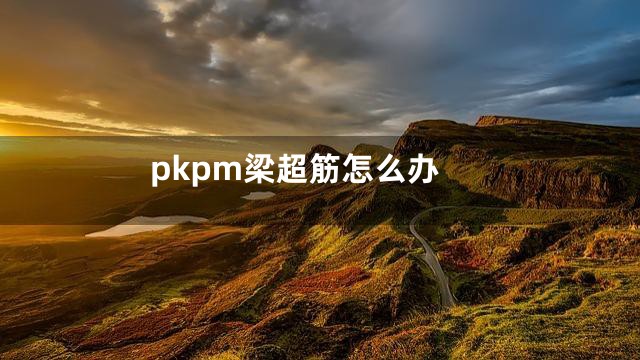 pkpm梁超筋怎么办
