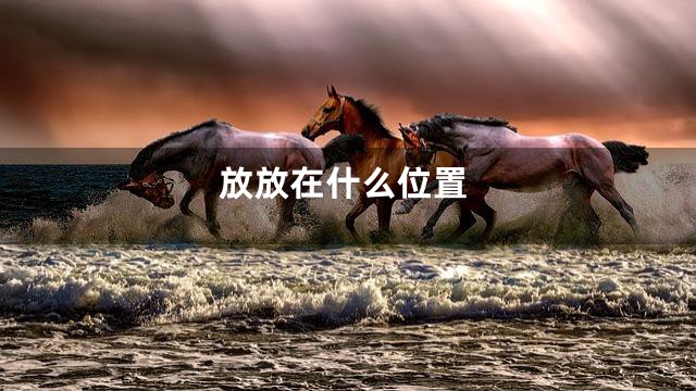 放放在什么位置