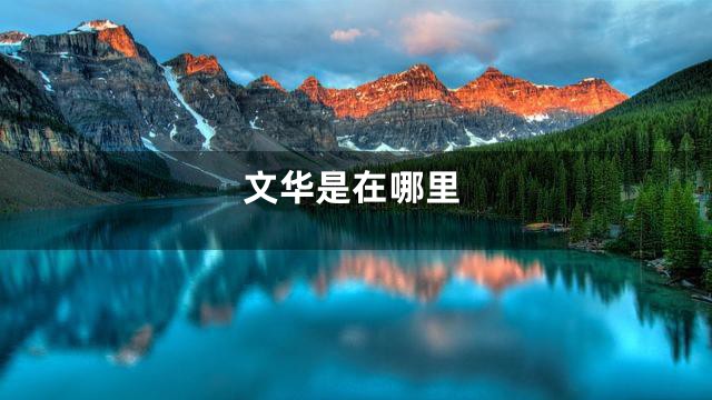 文华是在哪里