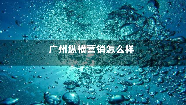 广州纵横营销怎么样