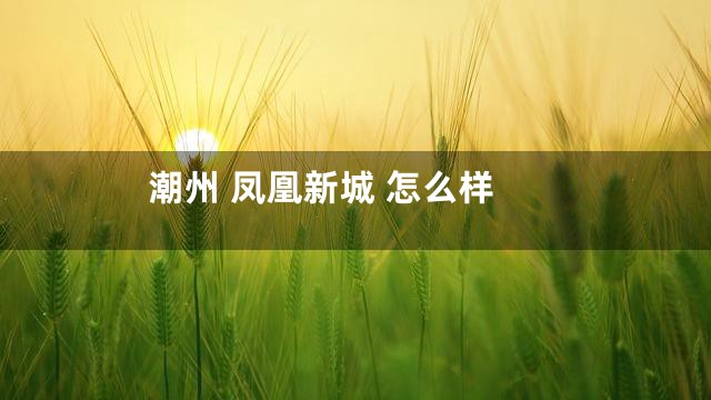 潮州 凤凰新城 怎么样