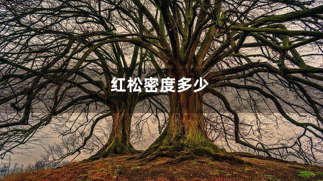红松密度多少