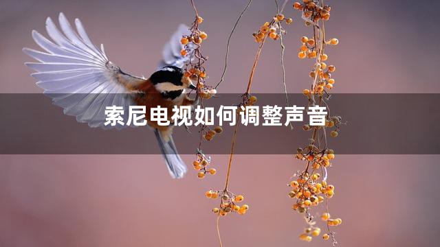 索尼电视如何调整声音