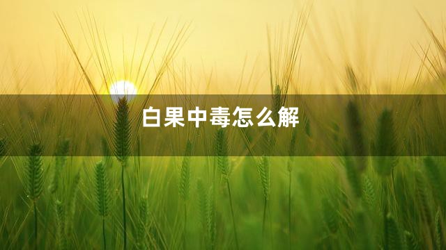 白果中毒怎么解