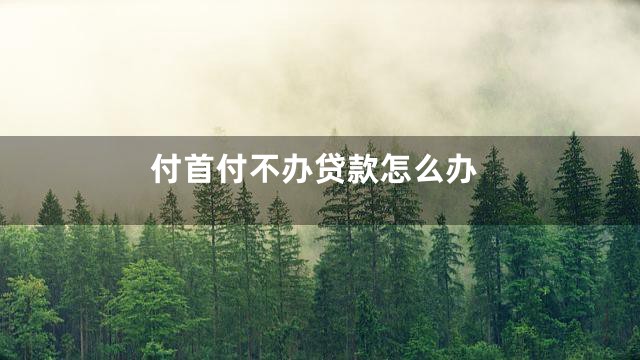 付首付不办贷款怎么办