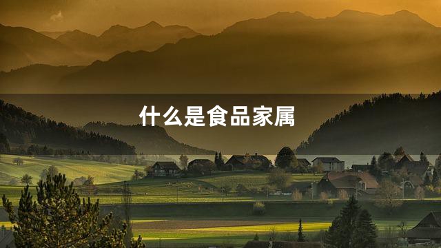 什么是食品家属