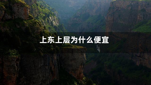 上东上层为什么便宜