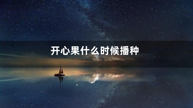 开心果什么时候播种