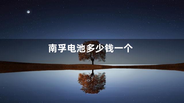 南孚电池多少钱一个