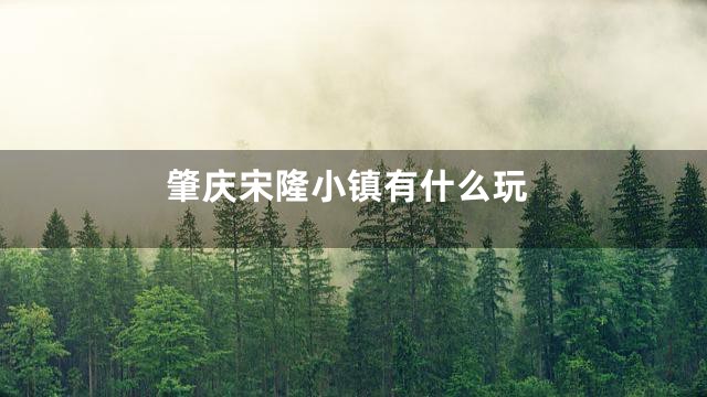 肇庆宋隆小镇有什么玩