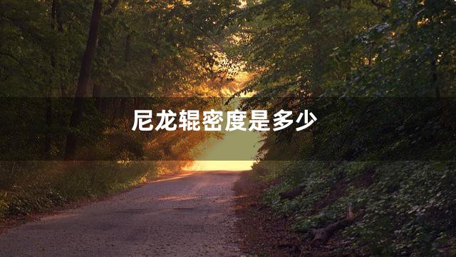 尼龙辊密度是多少