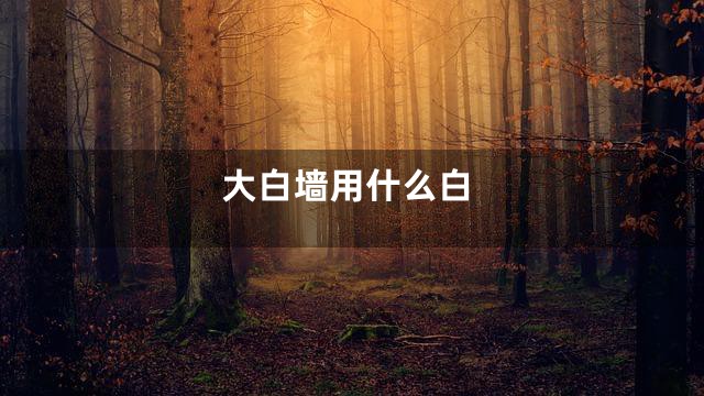 大白墙用什么白