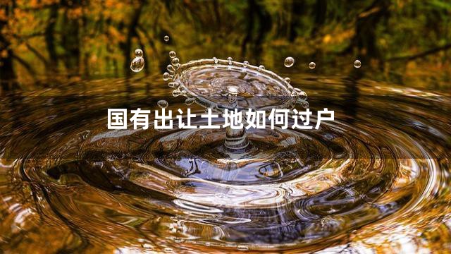 国有出让土地如何过户