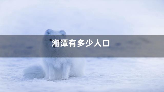 湘潭有多少人口