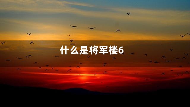 什么是将军楼6