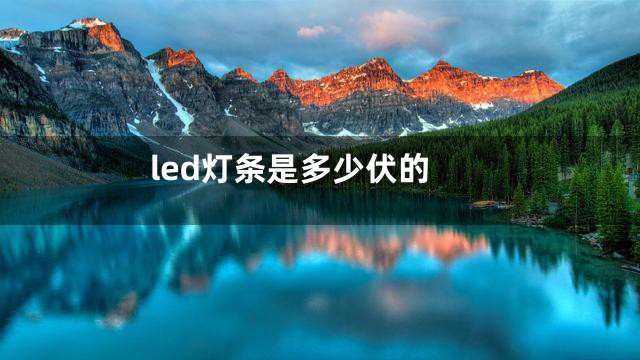 led灯条是多少伏的