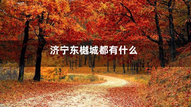 济宁东樾城都有什么