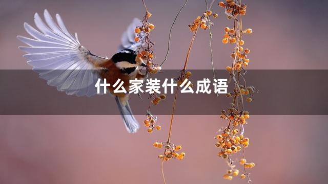 什么家装什么成语