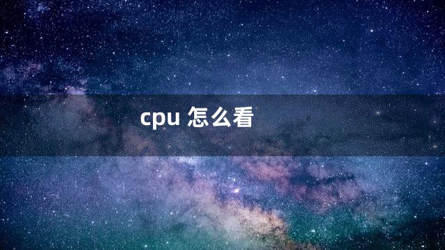 cpu 怎么看