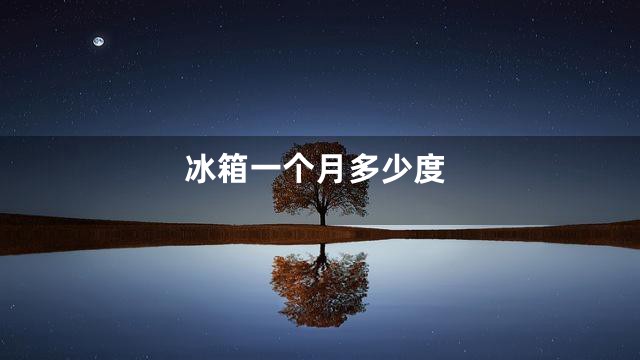 冰箱一个月多少度